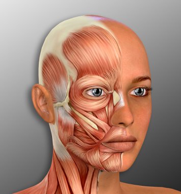 cosmetics-products