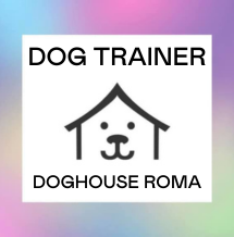 Your Logo Placeholder