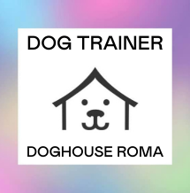 Logo Placeholder
