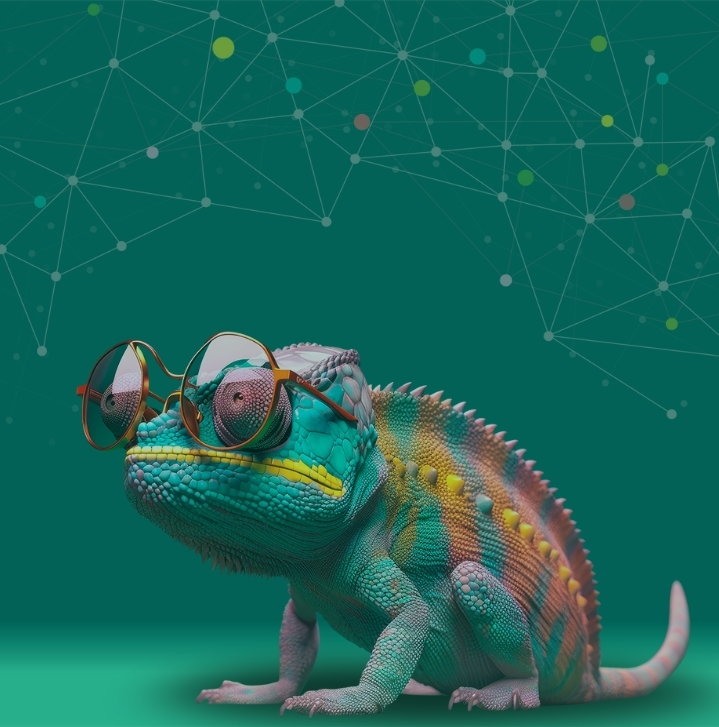 Chameleon Channel Image