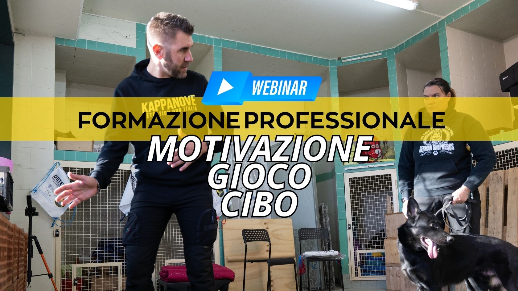 Sono un'immagine