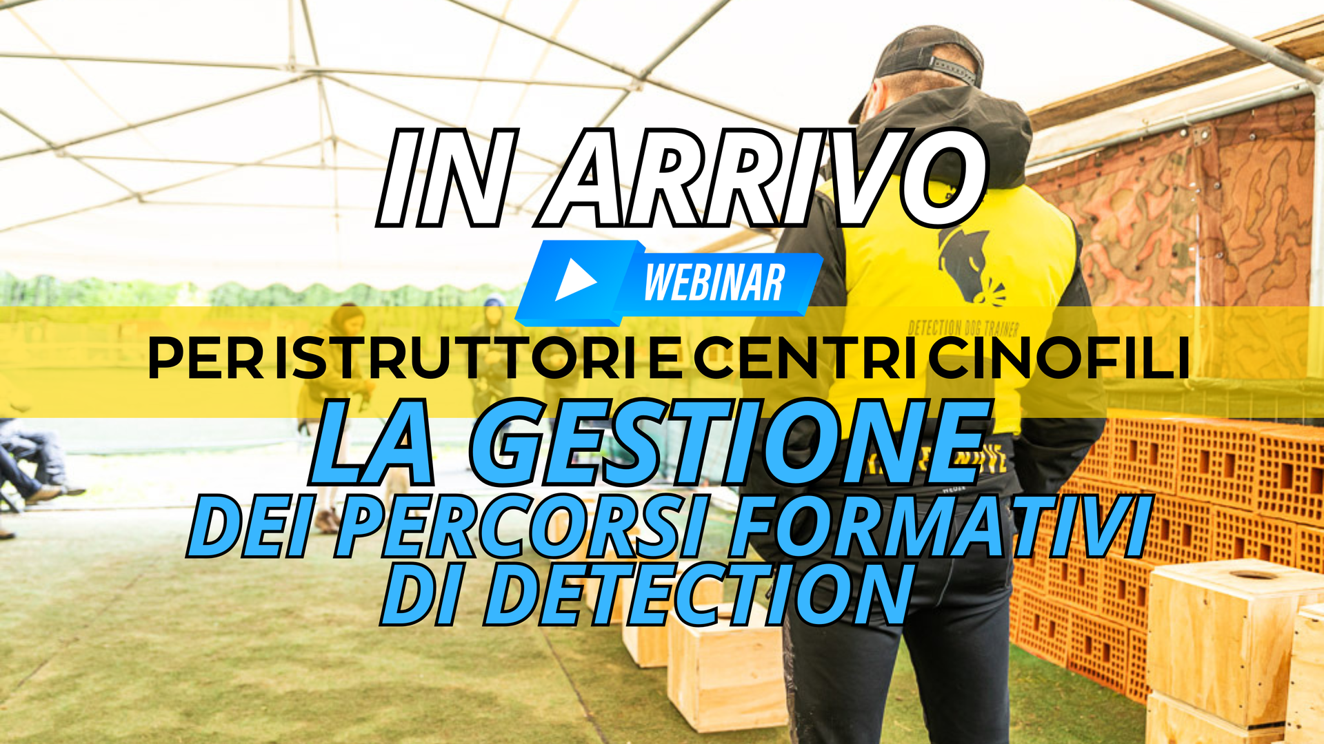 Sono un'immagine Sono un'immagine