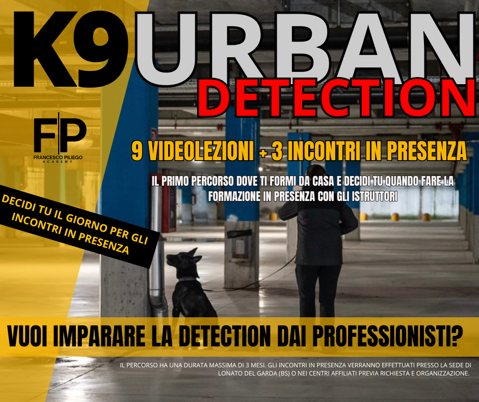 Sono un'immagine Sono un'immagine