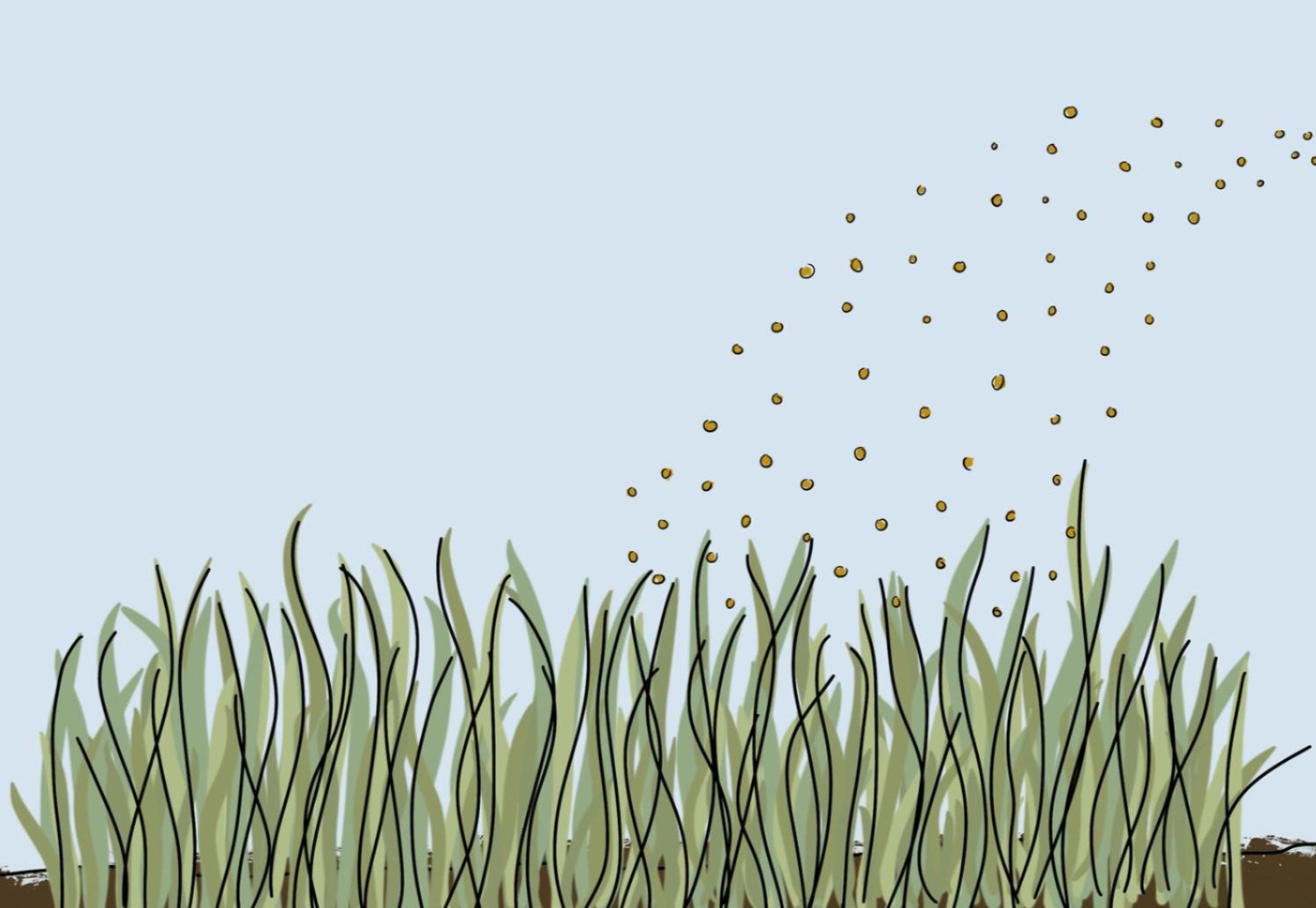 Webinar image Webinar image