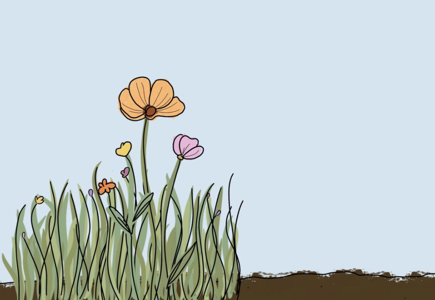 Webinar image Webinar image