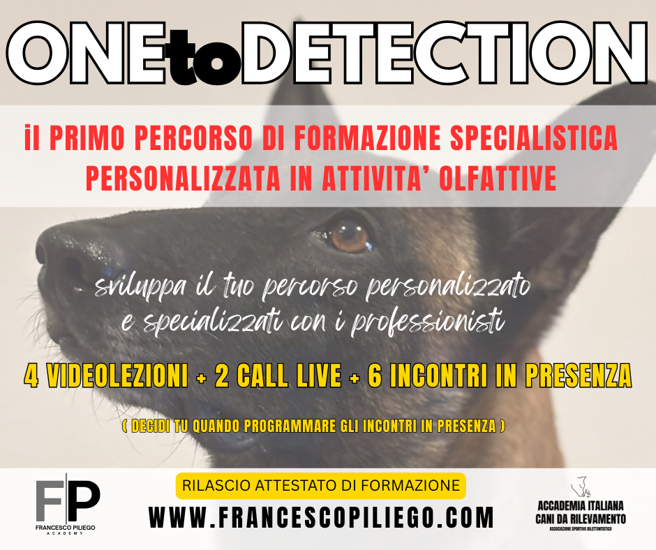 Sono un'immagine Sono un'immagine