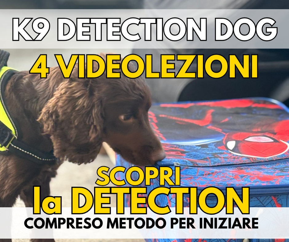 Sono un'immagine Sono un'immagine