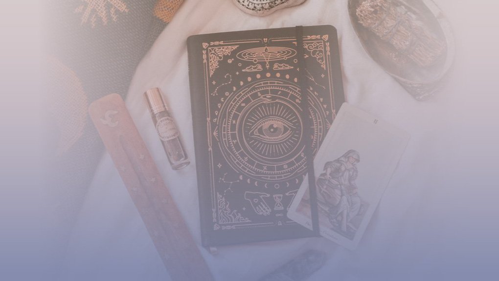 a close-up of a flower a close-up of a flower