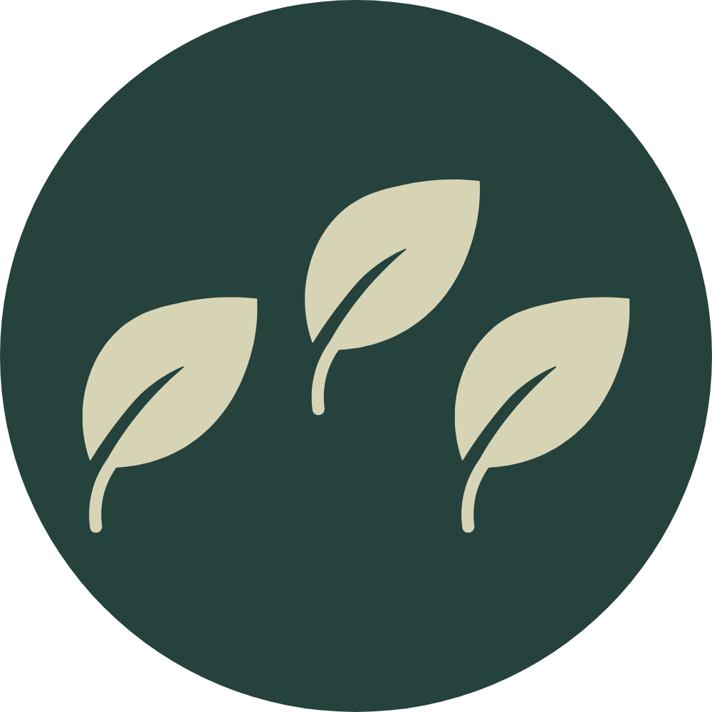 Sono un'immagine Sono un'immagine