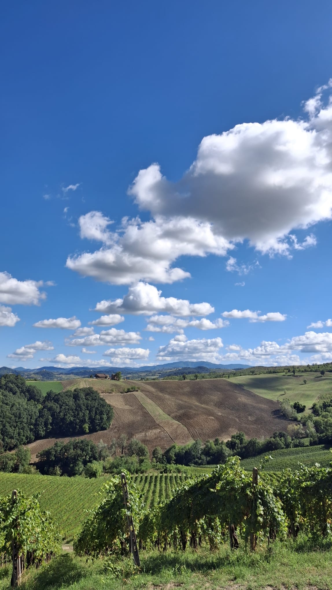 Property-05-Image