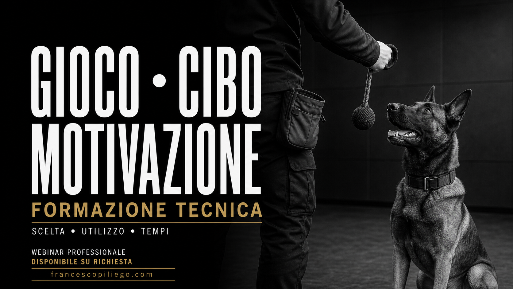 Sono un'immagine