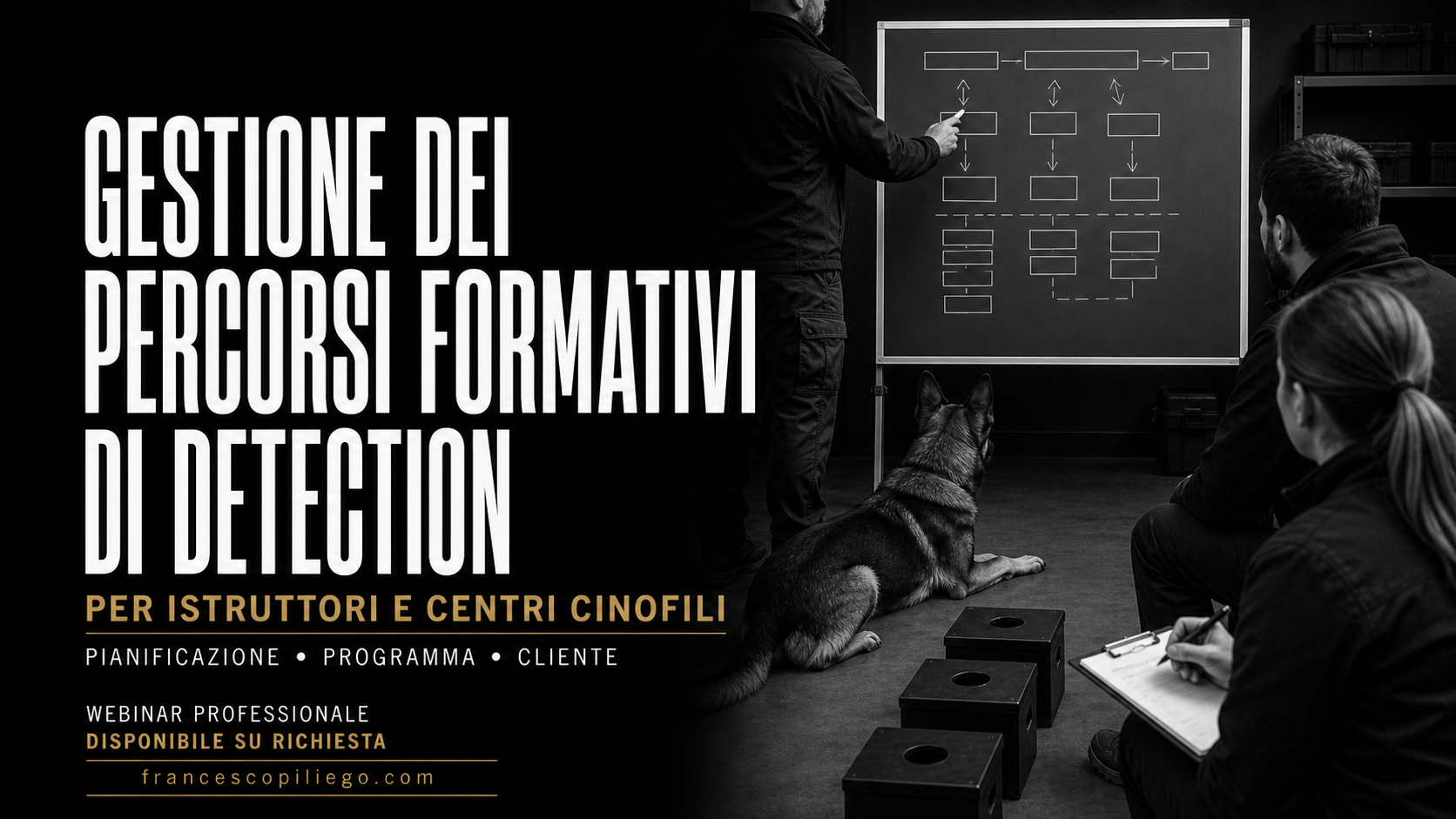 Sono un'immagine