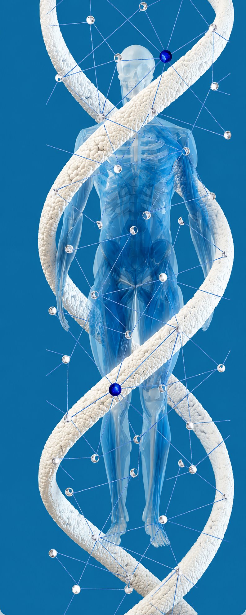Rappresentazione del sistema corpo-mente e delle sue connessioni nell'Intelligenza Corporea Rappresentazione del sistema corpo-mente e delle sue connessioni nell'Intelligenza Corporea