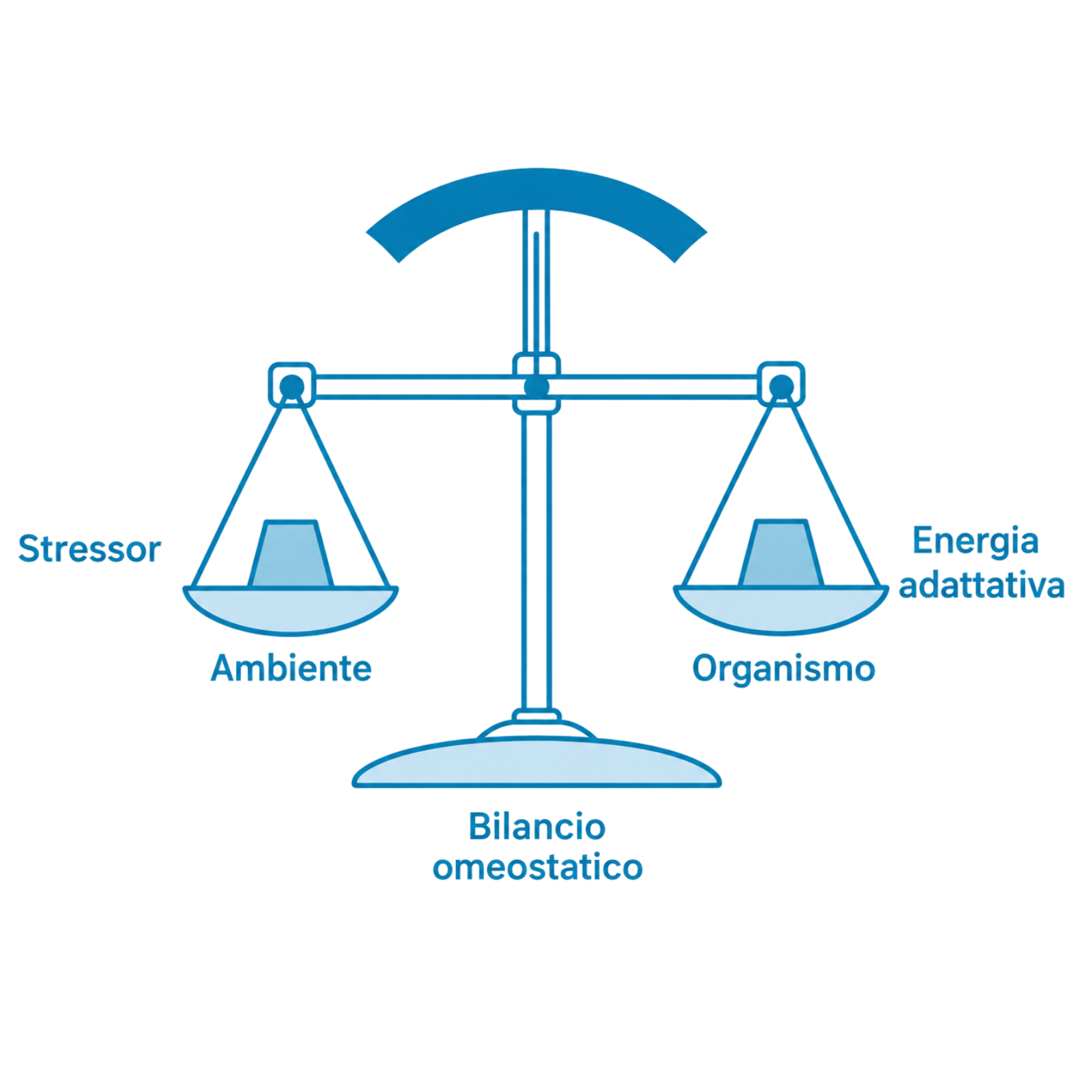 TOUCH4BALANCE | ENERGIA ADATTIVA COME GESTIRE IL BENESSERE TOUCH4BALANCE | ENERGIA ADATTIVA COME GESTIRE IL BENESSERE