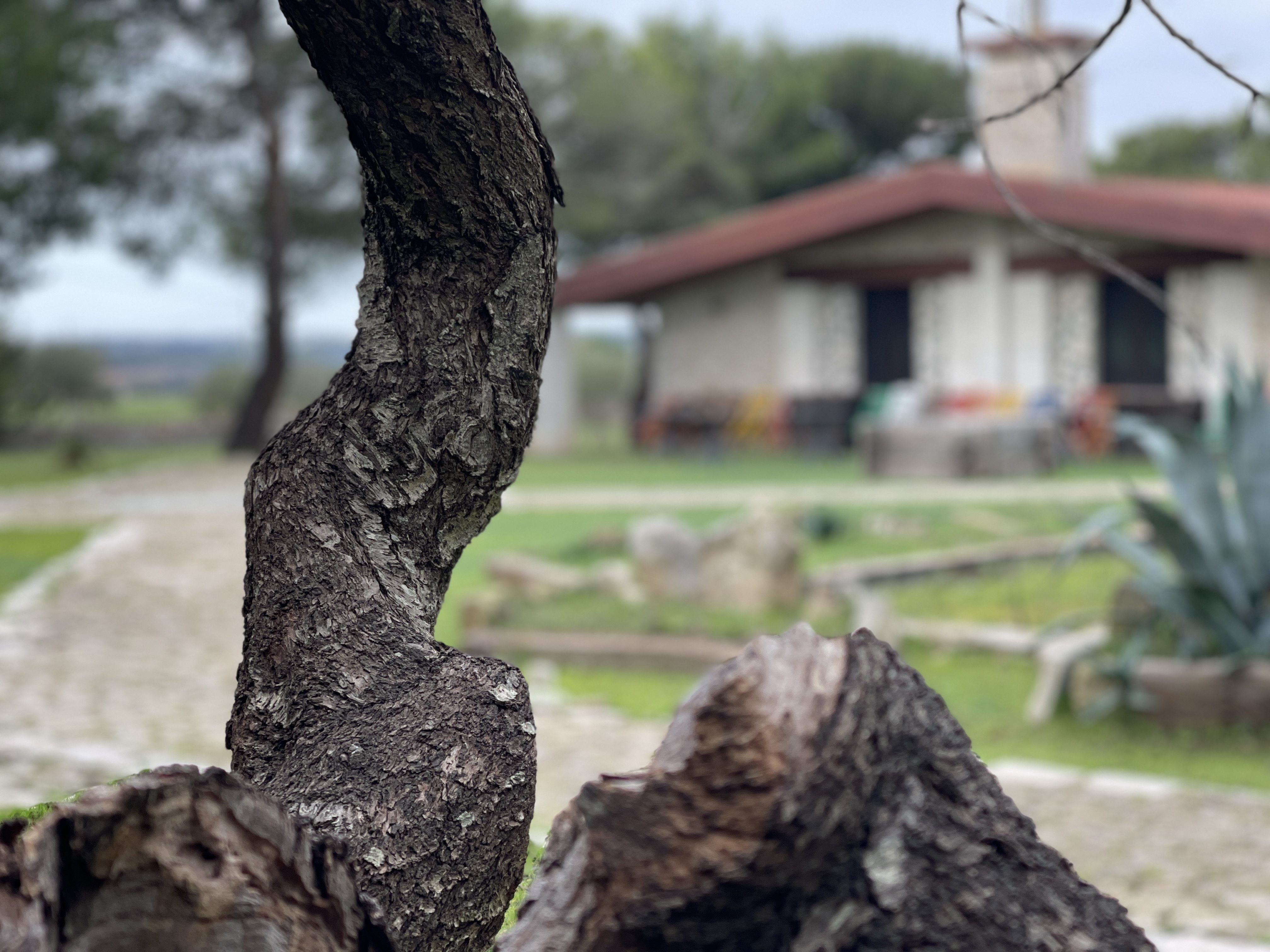 La baita nel bosco vista dall'esterno