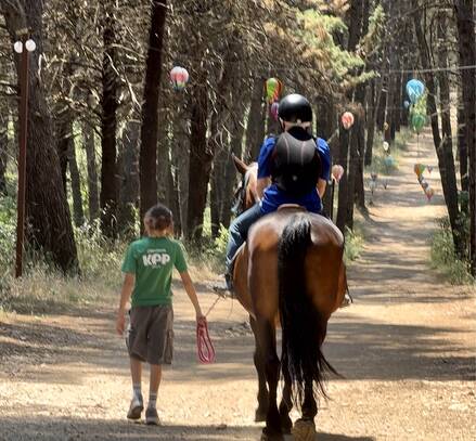Passeggiata a cavallo nella pineta