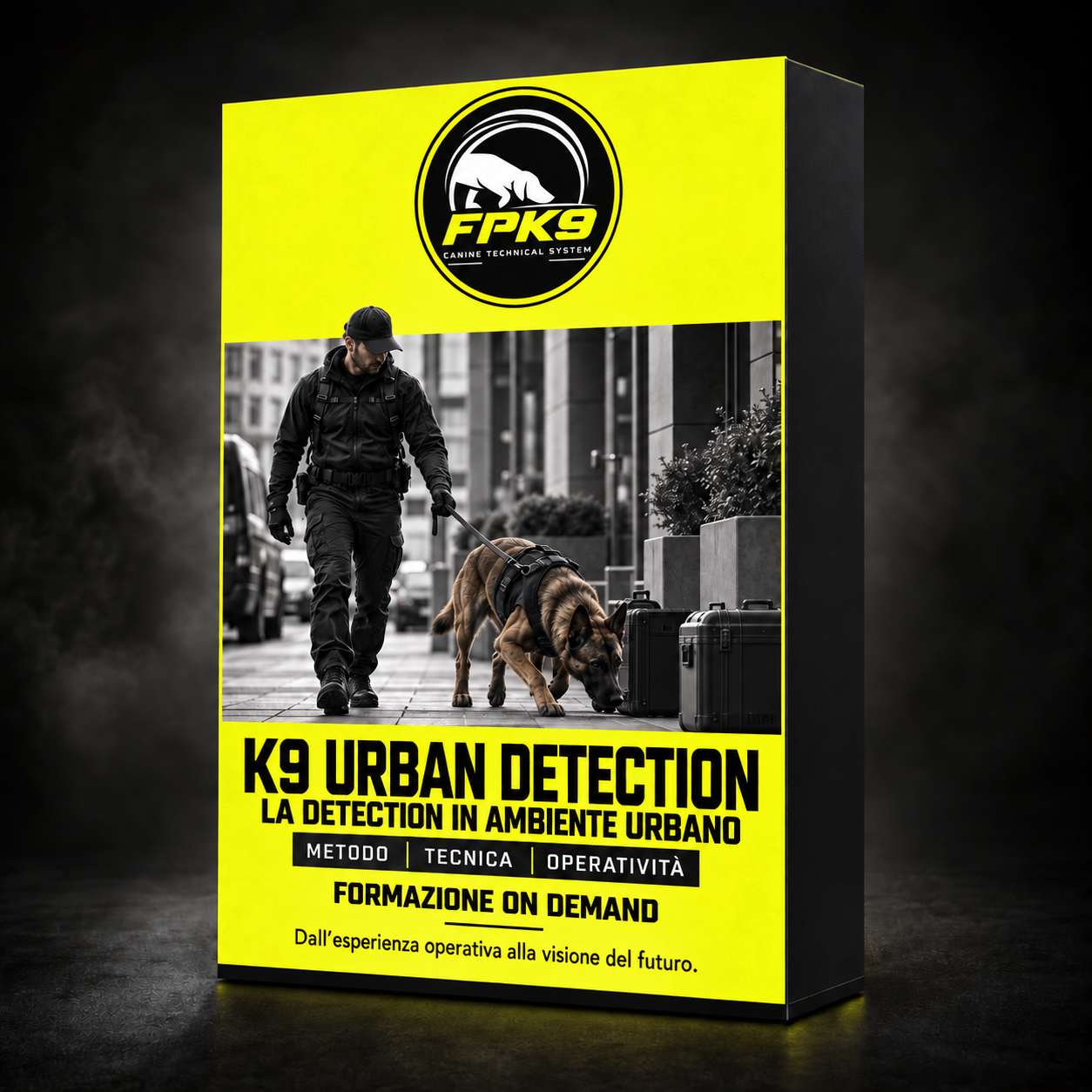K9 Urban Detection